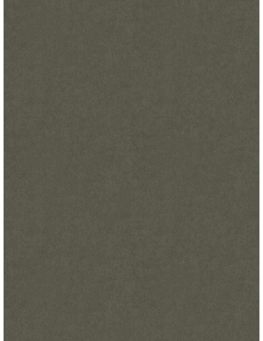 Ткань Fabricut French General Vignettes Linen Claribella/Charcoal