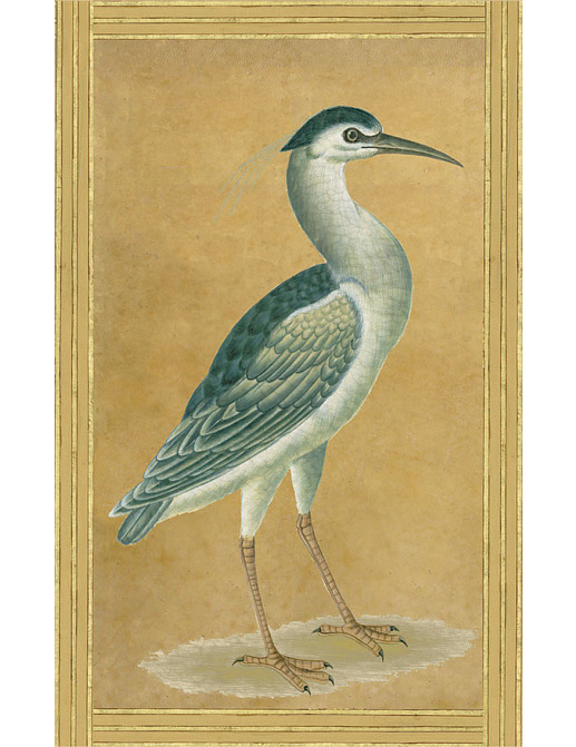 Панно и фотообои Iksel Scenic & Architectural Wallpapers Johann Walter Birds Walt1