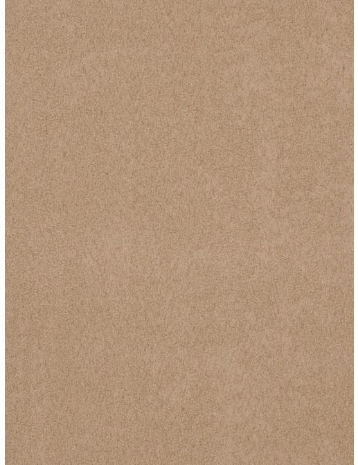 Ткань Trend Suede Spectrum Multipurpose 03270/Buckskin