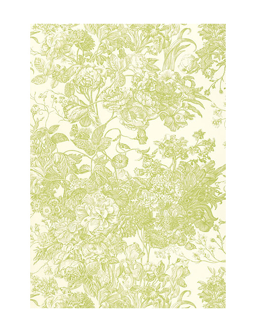 Обои Schumacher Signature Prints 5004091