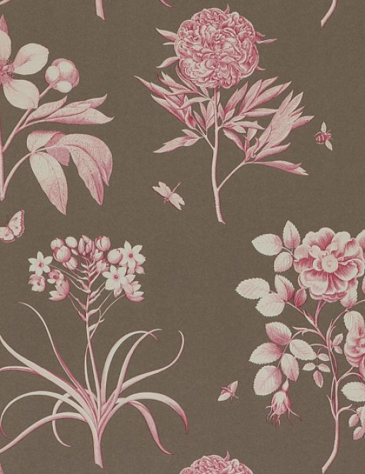 Обои Sanderson Parchment Flowers DPFWER102