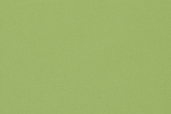 Ткань Designers Guild Aviano F1911/21