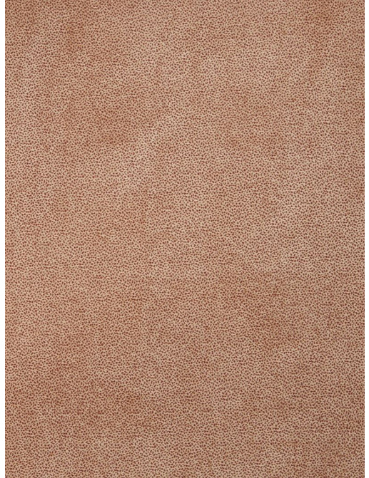 Ткань Trend Copper Ruby Prints & Wovens Vol.II 02409/Spice