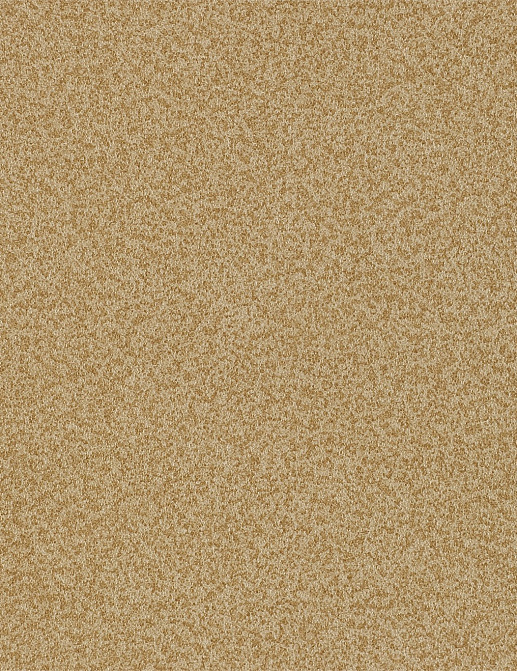 Обои Zoffany Prism Vinyls 311760