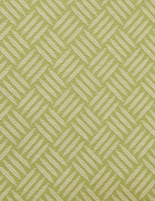 Ткань Galleria Arben Tom 2 CRIS CROSS/282/Lime