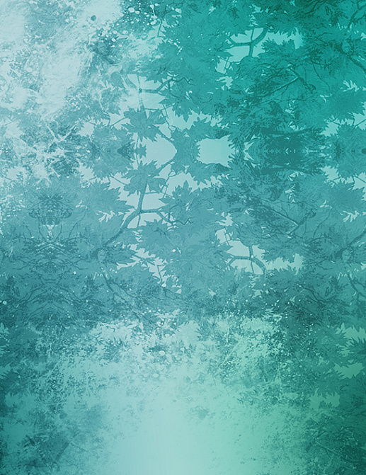 Панно и фотообои Skinwall Contemporary Collection 70B