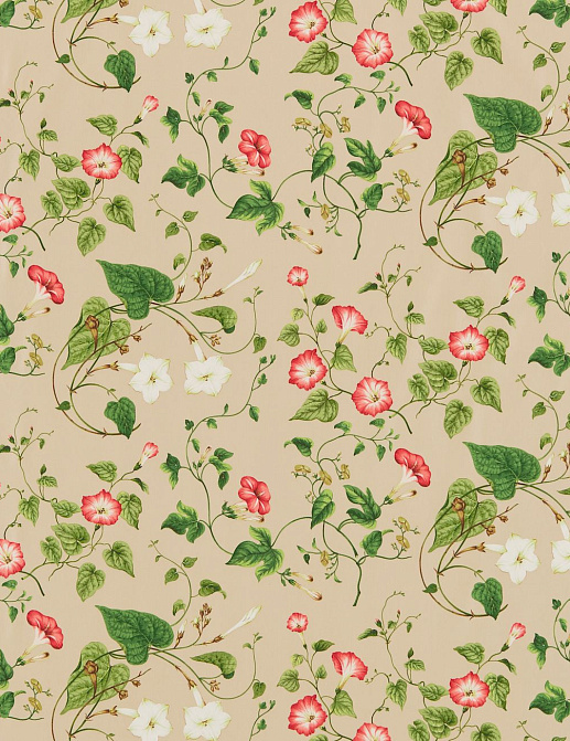 Ткань Sanderson Parchment Flowers DPFPMO201