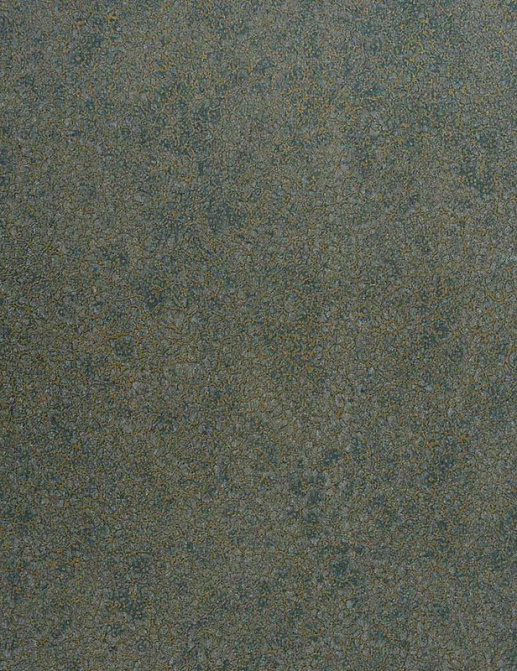 Обои Casamance Select 5 C72350518