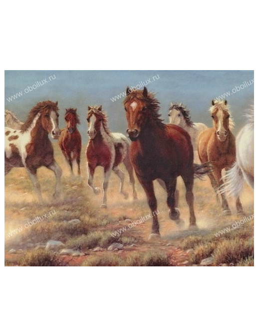 Обои Chesapeake Field Guide FG35571B