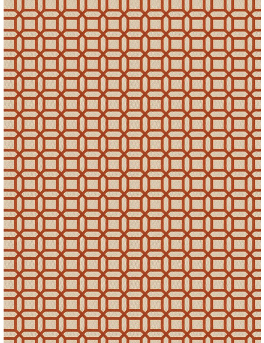 Ткань Fabricut Vignettes Vol.XIII Terra Cotta Kamla/Mandarin