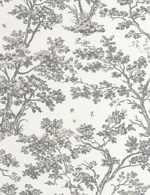 Обои Casadeco Les Belles Toiles de Jouy 2 BTJD81529889