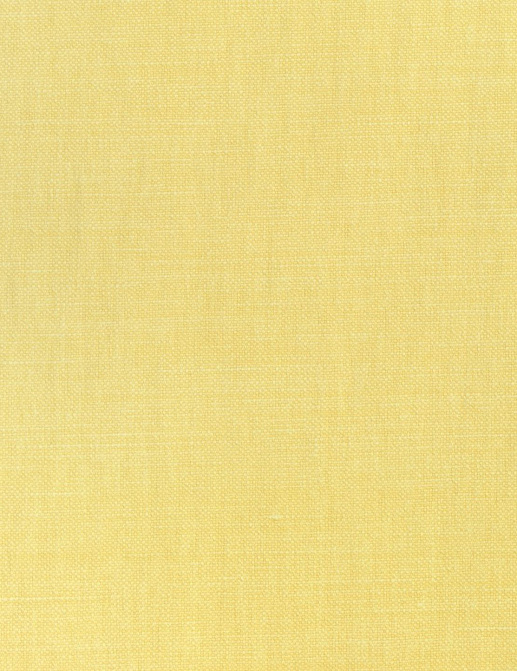 Ткань Thibaut Woven Resource 12 Prisma W70122
