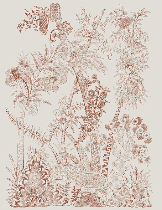 Панно и фотообои Bien Fait Papier Peint Flora/Sepia