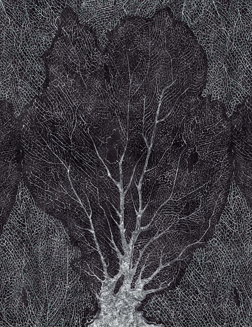 Обои Factura Collection 2021 FORESTA/9