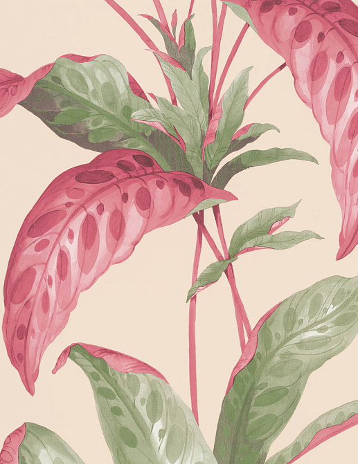 Обои Paint & Paper Library Botany 0360TRRHUBA