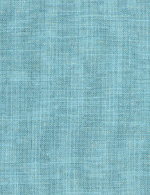 Ткань Designers Guild Panaro F1869/09