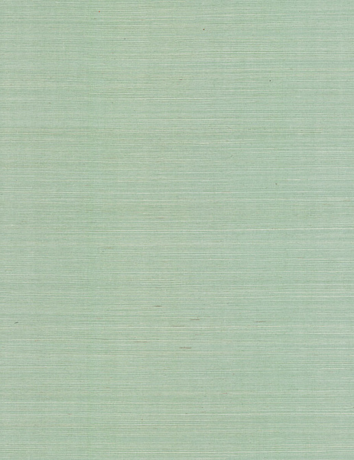 Обои York Ronald Redding Grasscloth & Natural Resource GV0150NW