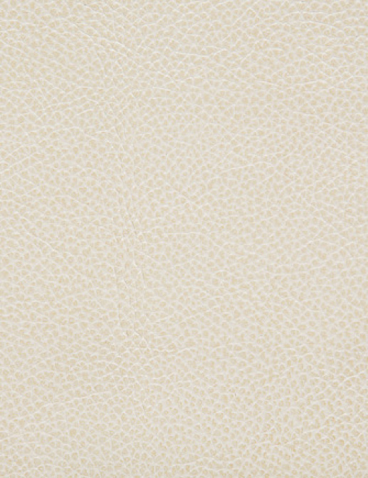 Ткань Holly Hunt Holly Hunt Leather 6013/01