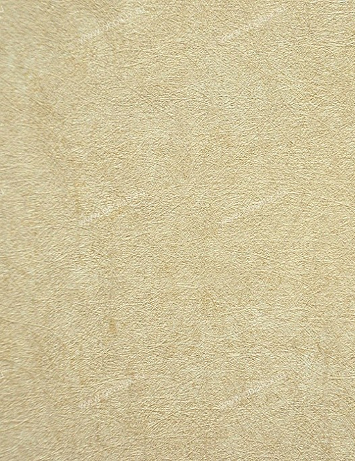 Обои Sirpi AltaGamma Vision 18273