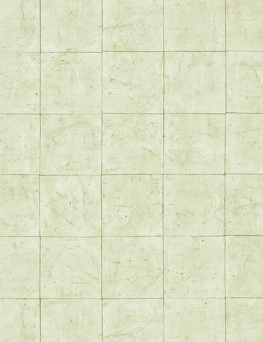 Обои Zoffany Folio ZFOW312947