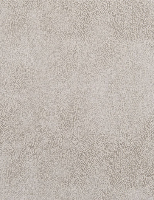 Ткань Designers Guild Nevada FDG2538/06