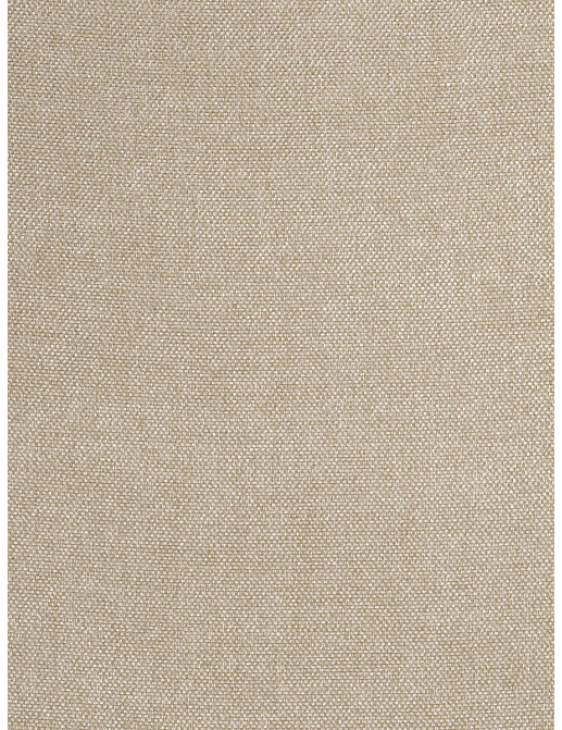 Ткань Trend Drapery dim out library 02890/Flax