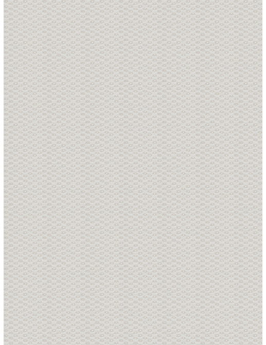 Ткань Fabricut Color Studio Vol.VII Oyster Notable/Canvas