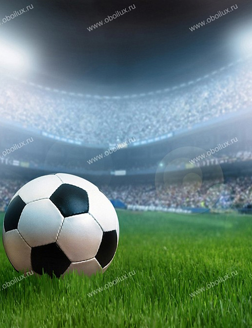 Панно и фотообои A. S. Creation XXL II 342 Soccer 