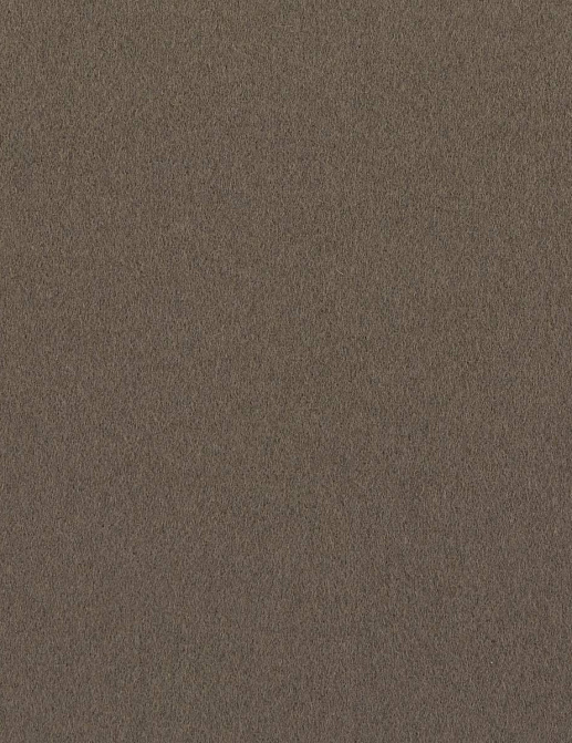 Ткань Loro Piana Le Lane Pregiate Vol.1 A4668RS/14