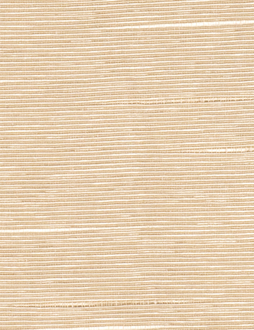 Ткань Trend Ecru-Birch Prints & Wovens Vol.VIII 04432/Taupe