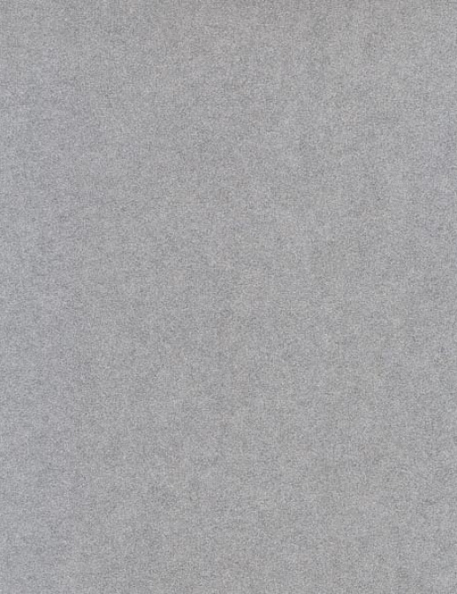 Обои Caselio Black & White BTW58859020