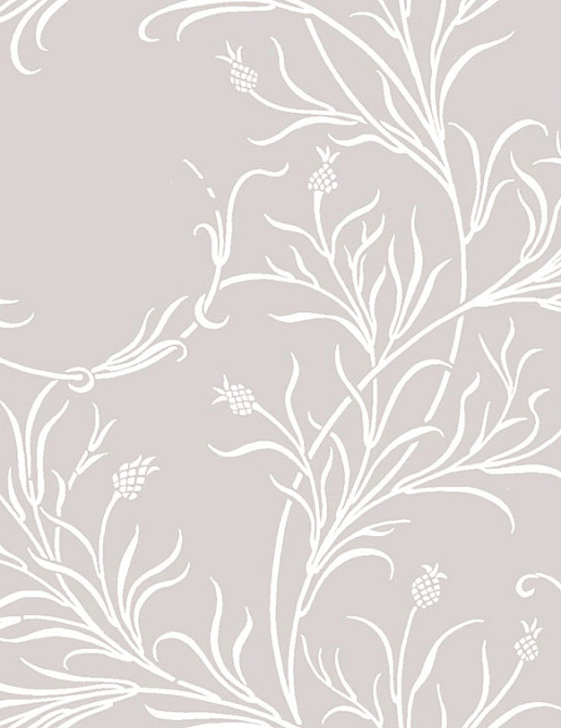 Обои Cole & Son Collection of Flowers 81/12050