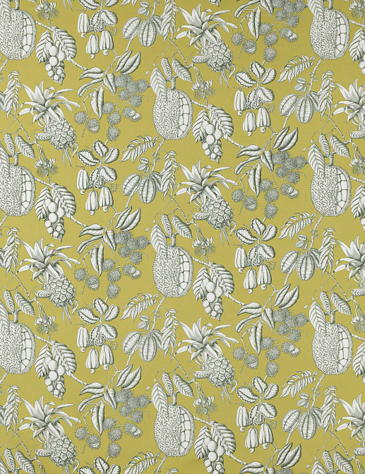 Ткань Manuel Canovas Nara M4077-03
