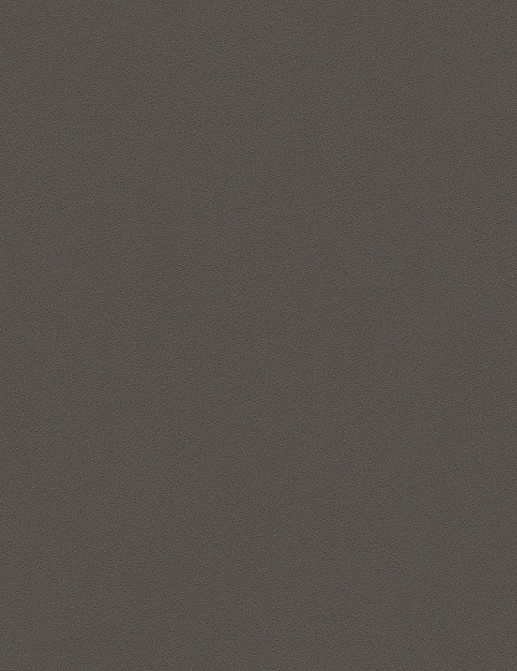 Обои A. S. Creation Die Glatte Wand 309532