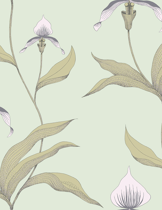 Обои Cole & Son New Contemporary 66/4028