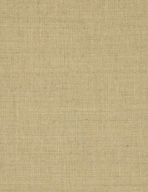 Ткань Designers Guild Savio F2109/01