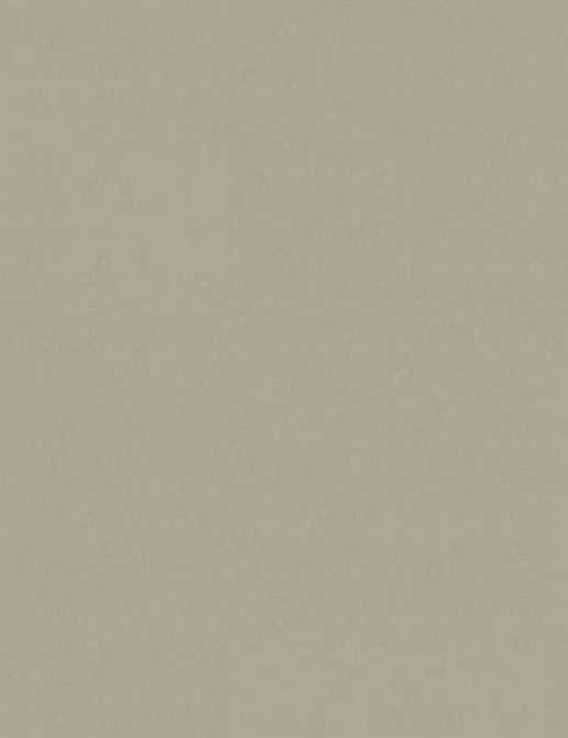 Обои Prospero Raw Elegance 343-345705