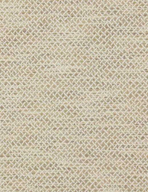 Ткань Colefax and Fowler Brett Weaves F4646/03