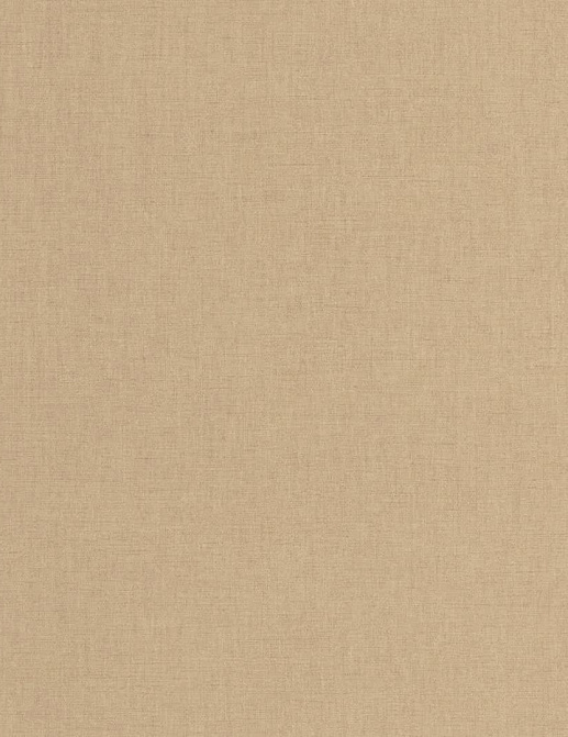 Обои Caselio Moonlight III MNL3103221746