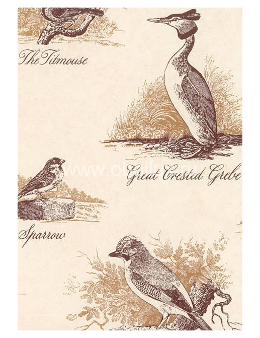 Обои Lewis & Wood Book I - Sporting & Character LW153155/Bewick Birds Bracken