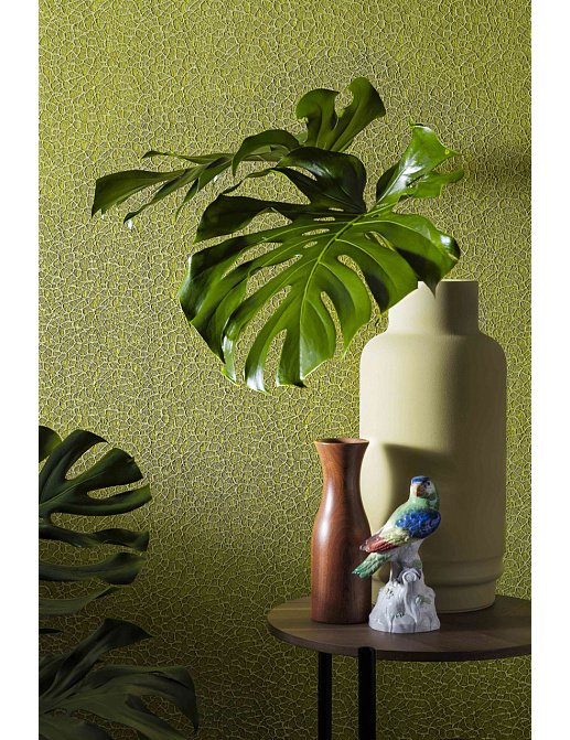 Обои Giardini Surfaces CR004 org