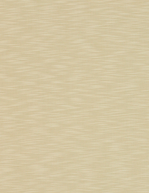 Ткань Manuel Canovas Hansa 04937/03