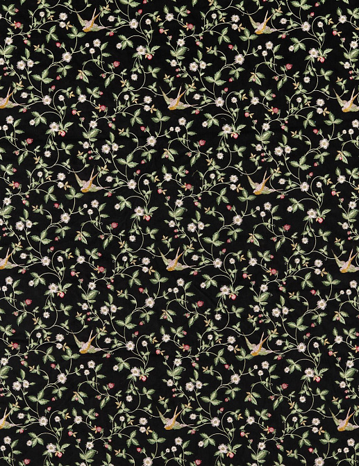 Ткань Clarke & Clarke Botanical Wonders F1582/01