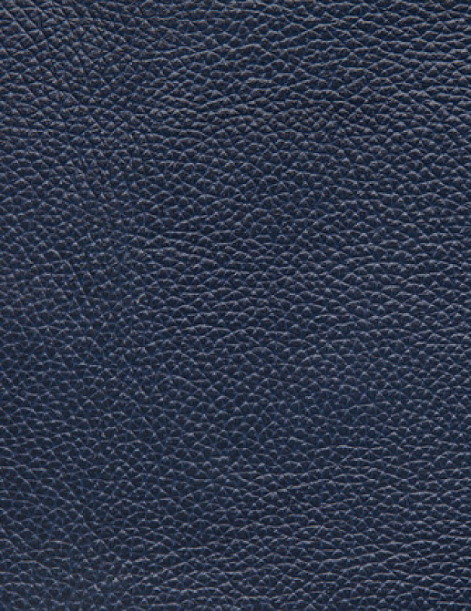 Ткань Holly Hunt Holly Hunt Leather 6013/12