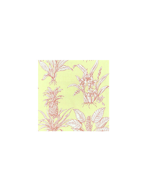 Ткань Thibaut Toile Resource II F99803