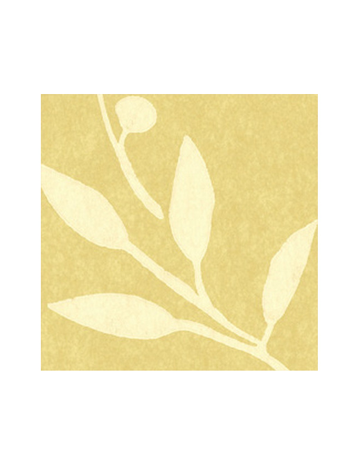 Обои Thibaut Chelsea T3249