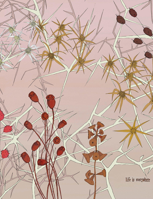 Обои Wall & Deco Contemporary Wallpaper Collection WDNP2001