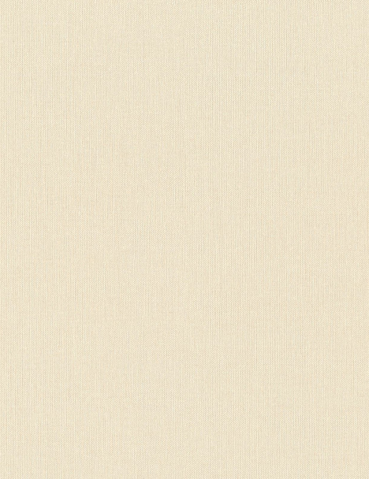 Обои Rasch Wall Textures XL Vol3 960778