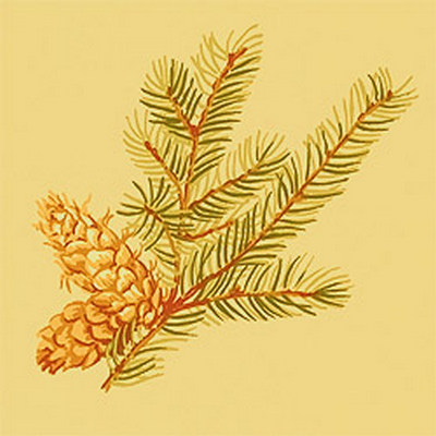 Обои Thibaut Castle Pine T6337