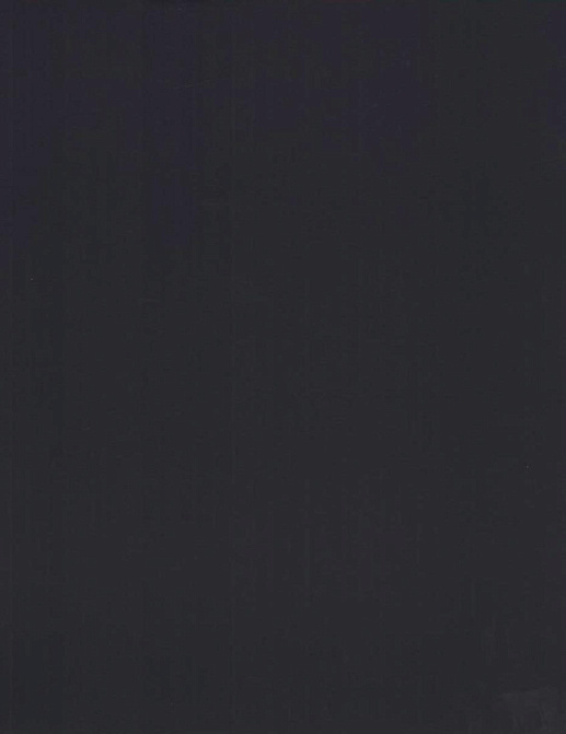 Обои Eijffinger Black and Light 356190